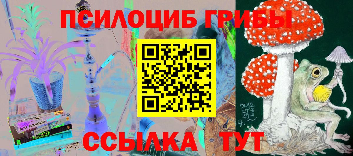 Павлово  Псилоцибиновые грибы Magic Shrooms  цена наркотик  Вход с VPN 