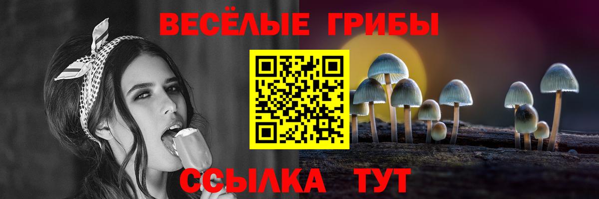 Галлюциногенные грибы MAGIC MUSHROOMS Павлово